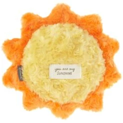 Hallmark Sunshine Recordable Plush, 10" 5 Hallmark Sunshine Recordable Plush, 10" -Hallmark 0001BBY4818 2