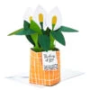 Hallmark Peace Lily Love You 3D Pop-Up Thinking Of You Card
