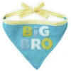 Hallmark Big Bro Pet Bandana -Hallmark BBY4748 01